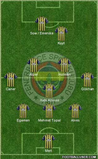 Fenerbahçe SK Formation 2013