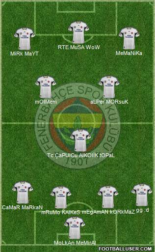 Fenerbahçe SK Formation 2013