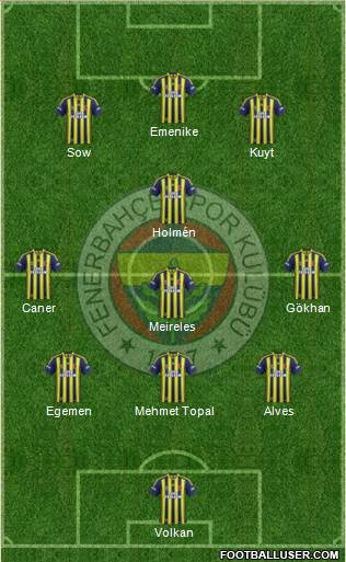 Fenerbahçe SK Formation 2013