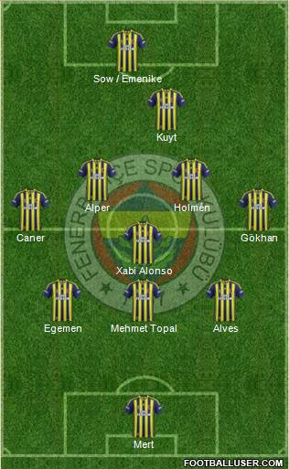 Fenerbahçe SK Formation 2013