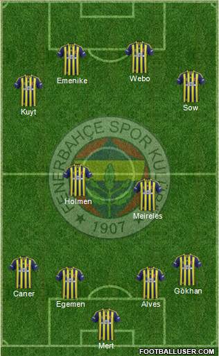 Fenerbahçe SK Formation 2013