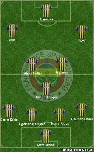 Fenerbahçe SK Formation 2013