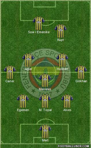 Fenerbahçe SK Formation 2013