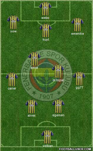 Fenerbahçe SK Formation 2013
