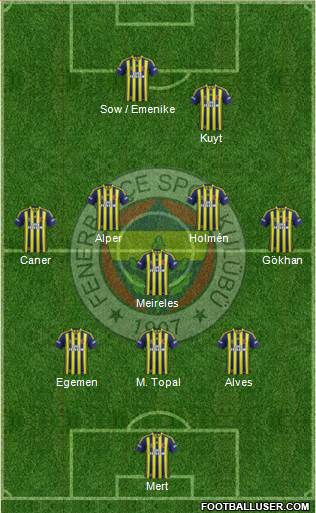 Fenerbahçe SK Formation 2013