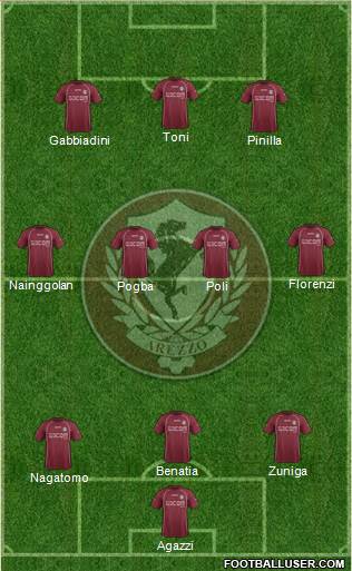 Arezzo Formation 2013