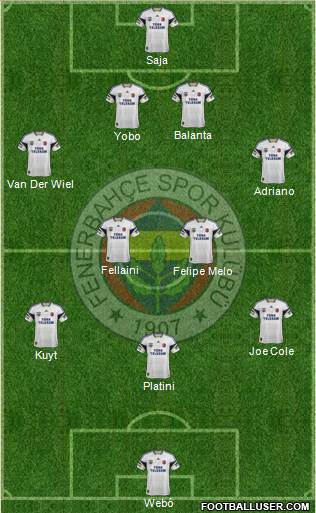 Fenerbahçe SK Formation 2013