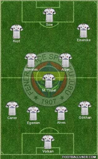 Fenerbahçe SK Formation 2013