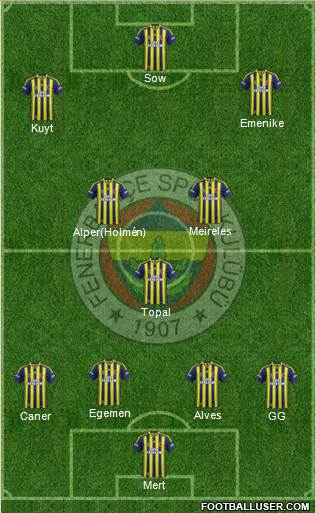 Fenerbahçe SK Formation 2013
