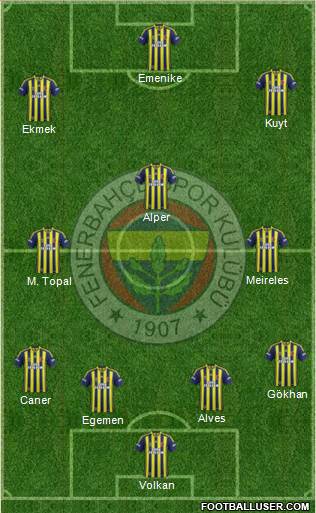 Fenerbahçe SK Formation 2013