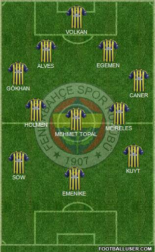 Fenerbahçe SK Formation 2013