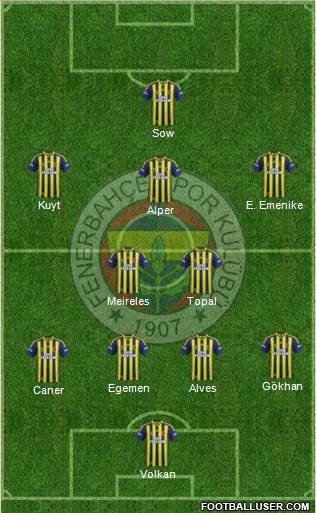 Fenerbahçe SK Formation 2013