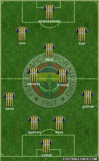 Fenerbahçe SK Formation 2013
