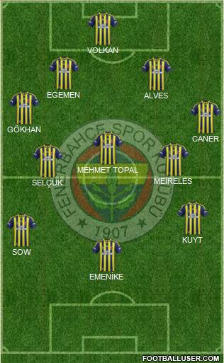 Fenerbahçe SK Formation 2013