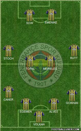 Fenerbahçe SK Formation 2013