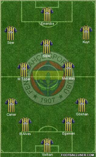 Fenerbahçe SK Formation 2013