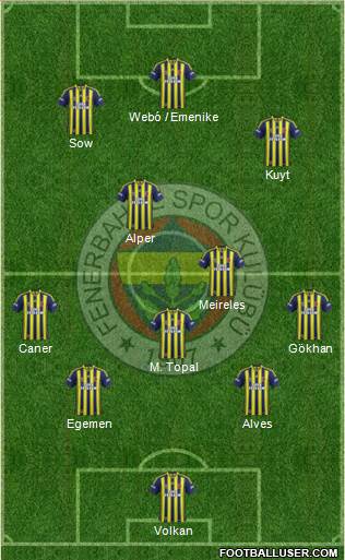 Fenerbahçe SK Formation 2013