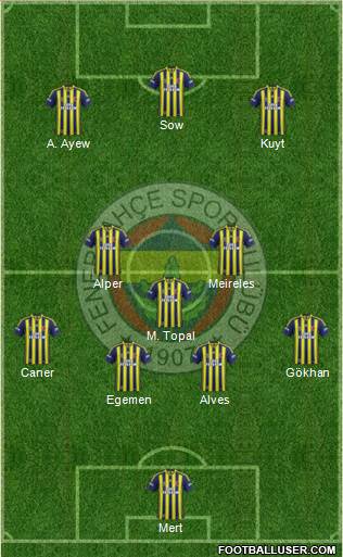 Fenerbahçe SK Formation 2013