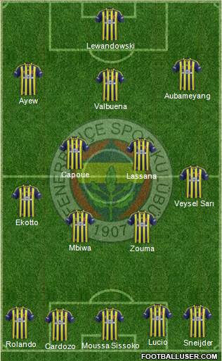 Fenerbahçe SK Formation 2013