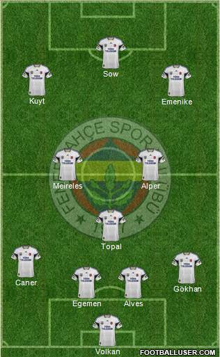 Fenerbahçe SK Formation 2013
