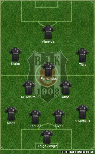 Besiktas JK Formation 2013