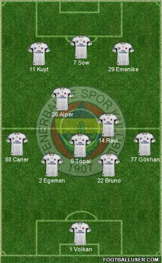 Fenerbahçe SK Formation 2013
