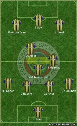 Fenerbahçe SK Formation 2013