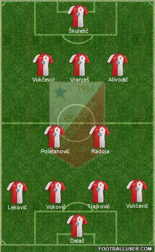 FK Vojvodina Novi Sad Formation 2013