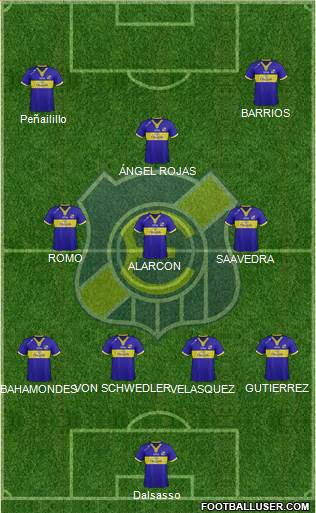 CD Everton de Viña del Mar S.A.D.P. Formation 2013