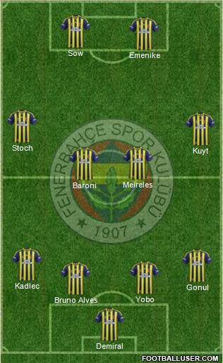 Fenerbahçe SK Formation 2013