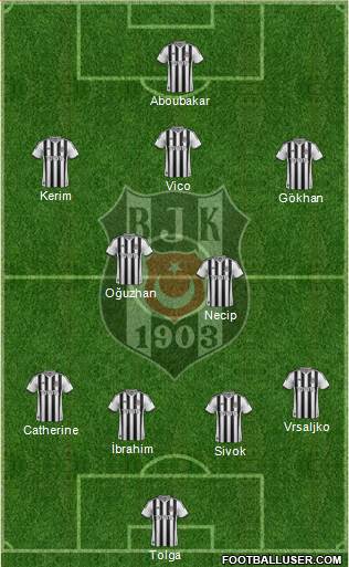 Besiktas JK Formation 2013