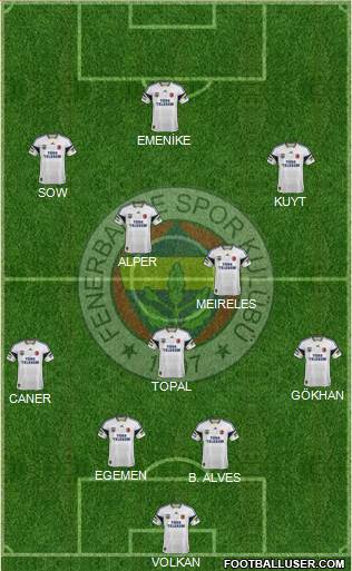 Fenerbahçe SK Formation 2013