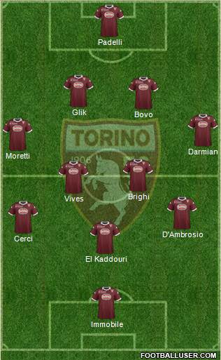 Torino Formation 2013