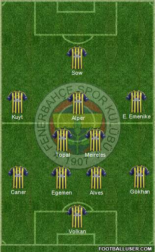 Fenerbahçe SK Formation 2013