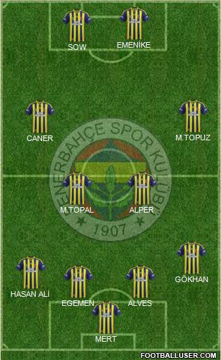 Fenerbahçe SK Formation 2013