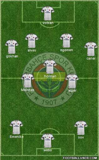 Fenerbahçe SK Formation 2013