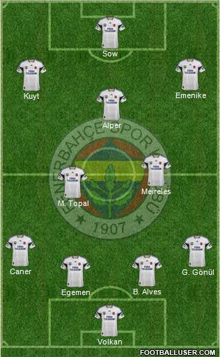 Fenerbahçe SK Formation 2013