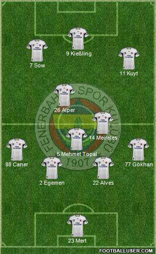 Fenerbahçe SK Formation 2013
