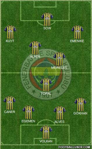 Fenerbahçe SK Formation 2013