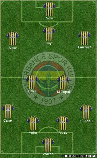 Fenerbahçe SK Formation 2013