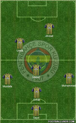 Fenerbahçe SK Formation 2013