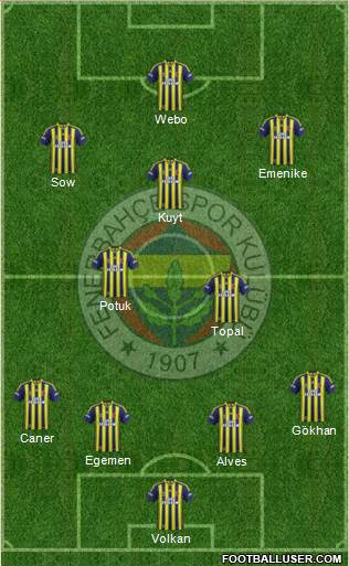 Fenerbahçe SK Formation 2013