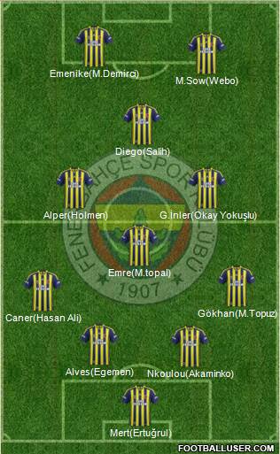 Fenerbahçe SK Formation 2013