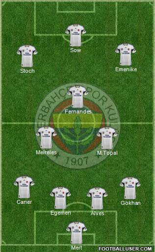 Fenerbahçe SK Formation 2013
