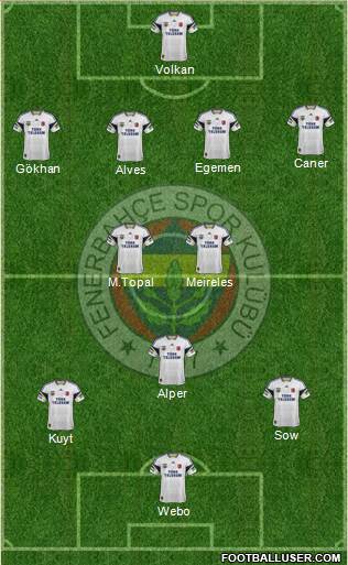Fenerbahçe SK Formation 2013
