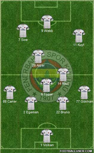 Fenerbahçe SK Formation 2013