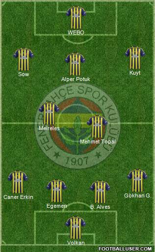 Fenerbahçe SK Formation 2013