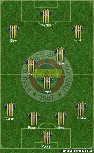 Fenerbahçe SK Formation 2013