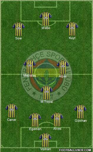 Fenerbahçe SK Formation 2013