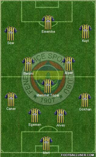 Fenerbahçe SK Formation 2013